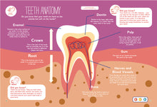Load image into Gallery viewer, A page from the Discover the Wonders of Toothbrushes book. This unit study is about teeth anatomy, point the talking pen to any part of the page, and the pen will read aloud the S.T.E.M. content to the children, it also have music, character narration which make the reading experience fun and interactive.